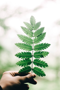 Nachhaltigkeit bei pack-it-eco