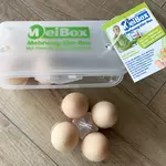 Standard MeiBox Mehrweg-Eierbox für 8 Eier